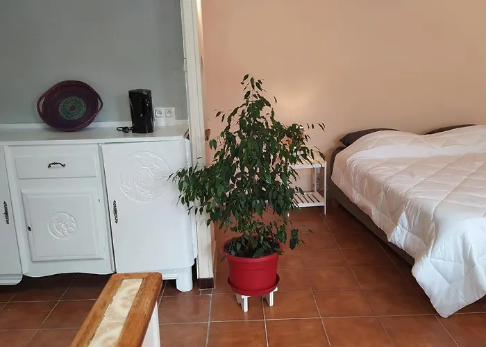Le 5